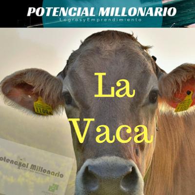 La Vaca (No apto para la Mediocridad) en Lo Mejor de Potencial Millonario en Audio Dice Network La Vaca (No apto para la Mediocridad) en Lo Mejor de Potencial Millonario en Audio Dice Network