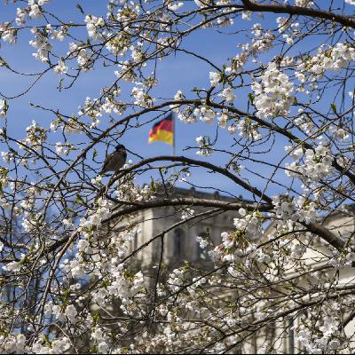 Berlin im März