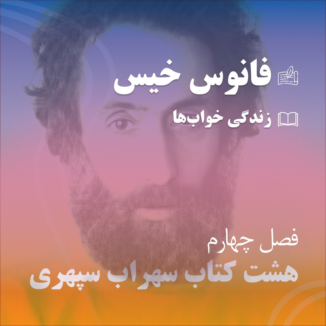 سی - فانوس خیس