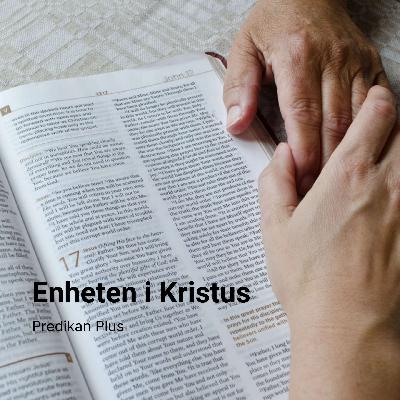 Enheten i Kristus