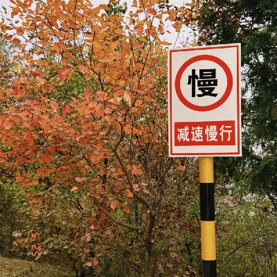 EP322: 高调蹭跑、无视规则，赛道乱象背后是参赛素养与运动精神的缺失？