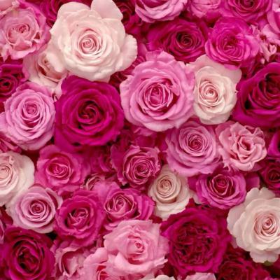 A Year Ends, A New Hope Begins_Poem