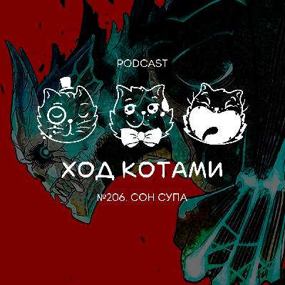 №206. Сон супа.