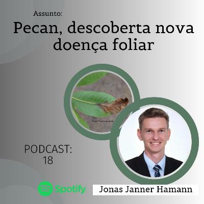 18 - Pecan, descoberta nova doença foliar