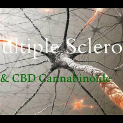 CBD University Episode 7