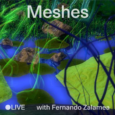 Meshes with Fernando Zalamea - Episode 4 - Hybrids a podcast series