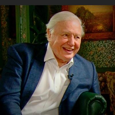 Sir David Attenborough: The Voice of the Natural World Turns 100 Sir David Attenborough: The Voice of the Natural World Turns 100