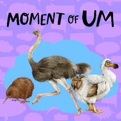 Why do flightless birds have wings?