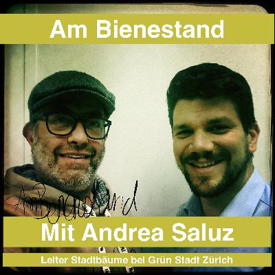 "Wir pflanzen jährlich 1500 neue Bäume für die Stadt Zürich"