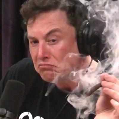 Elon Musk como farsante contemporáneo Elon Musk como farsante contemporáneo