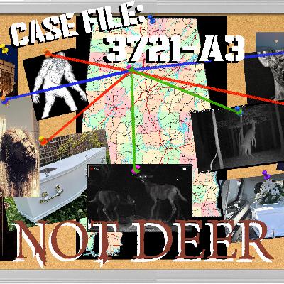 Not Deer: Case File 3721-A3 (Actual Play TTRPG) Not Deer: Case File 3721-A3 (Actual Play TTRPG)