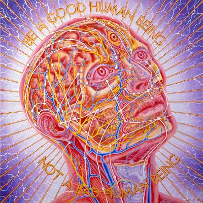 Ep 234 - part 1 of 3 - How To Become More Intelligent Than 99 Of People - Dan Koe Ep 234 - part 1 of 3 - How To Become More Intelligent Than 99 Of People - Dan Koe