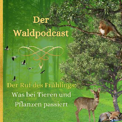Der Ruf des Frühlings: Was bei Tieren und Pflanzen passiert Der Ruf des Frühlings: Was bei Tieren und Pflanzen passiert