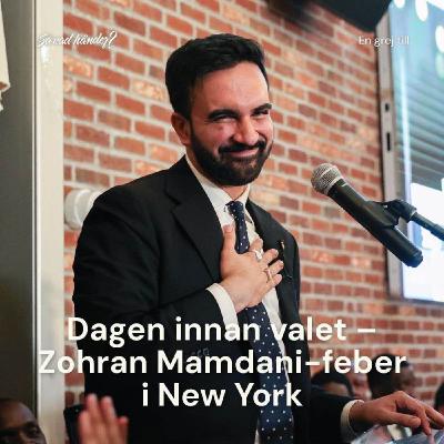 En grej till: Dagen innan valet – Zohran Mamdani-feber i New York En grej till: Dagen innan valet – Zohran Mamdani-feber i New York