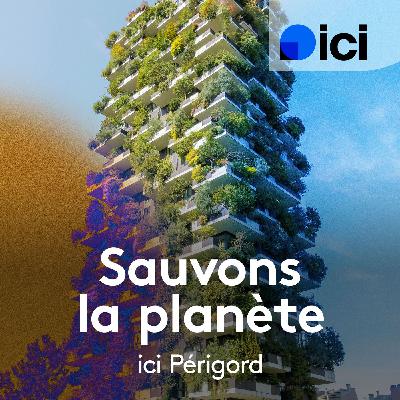 Le livre "La forêt du futur" écrit par Hervé Le Bouler
