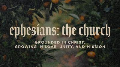Rooted in Christ