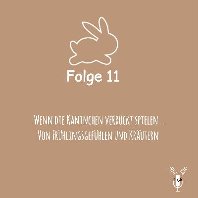 Der Frühling mit den Kaninchen 🌻🐇