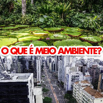 O que é Meio Ambiente?