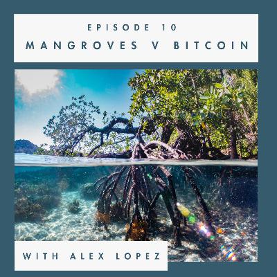 Episode 10: Mangroves v Bitcoin