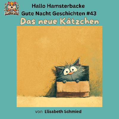 Das neue Kätzchen Das neue Kätzchen