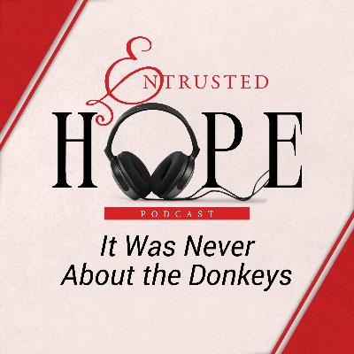 It Was Never About the Donkeys