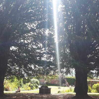 #51 Reinkarnation - Wie du dich erinnern kannst