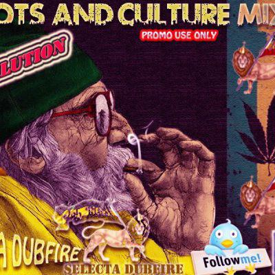 Roots and Culture Mixx CD