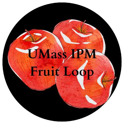 Red is the color of... 🍎 Healthy Fruit, Vol. 33, No. 17, September 2, 2025 Red is the color of... 🍎 Healthy Fruit, Vol. 33, No. 17, September 2, 2025