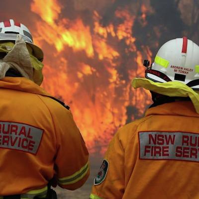 Sydney residents urged to be vigilant amid extreme fire danger rating