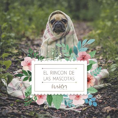 #18 El Rincón de las Mascotas