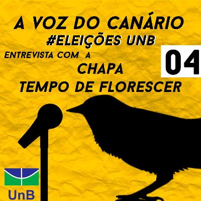 #EleiçõesUnB - Entrevista com a chapa Tempo de Florescer UnB