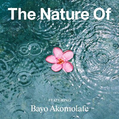 Bayo Akomolafe: How to Move Through Chaos Without Needing Control