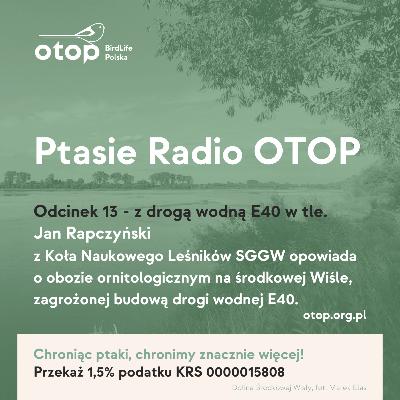 Jan Rapczyński opowiada o obozie ornitologicznym nad Wisłą, w miejscu, gdzie planowany jest przebieg drogi wodnej E40