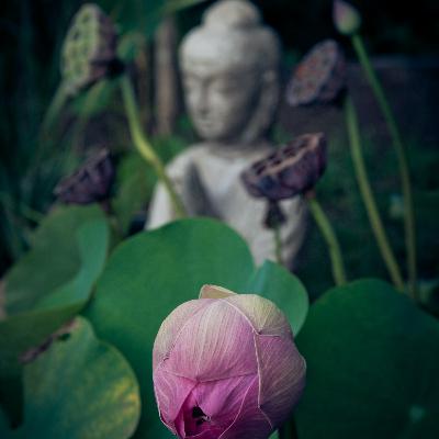 Meditación de 26 minutos para conectar con tu belleza y tu gracia