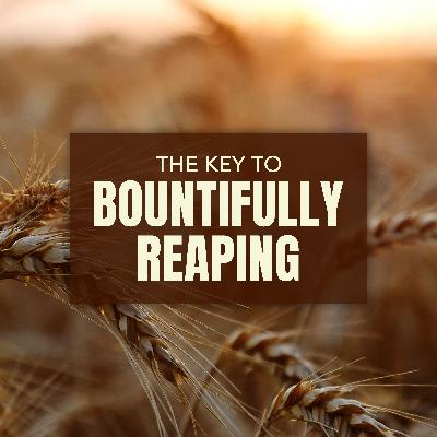 The Key to Bountifully Reaping
