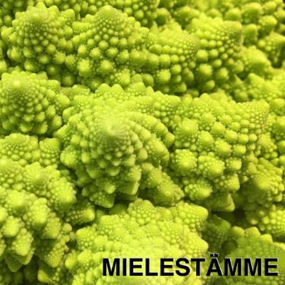 22. Puolitoista tuntia tolkkua viideltä vihreältä 22. Puolitoista tuntia tolkkua viideltä vihreältä