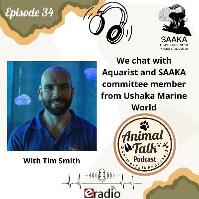 Episode 34 (with Tim Smith)