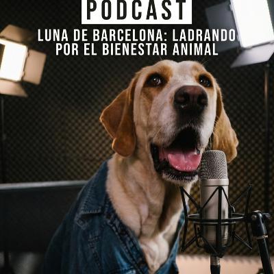 Propósitos 2026: por qué enero nos impulsa… y los perros nos sostienen Propósitos 2026: por qué enero nos impulsa… y los perros nos sostienen