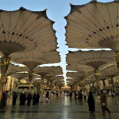 Al Habib Ali Jindan - Mencintai Nabi dan Keluarga Nabi