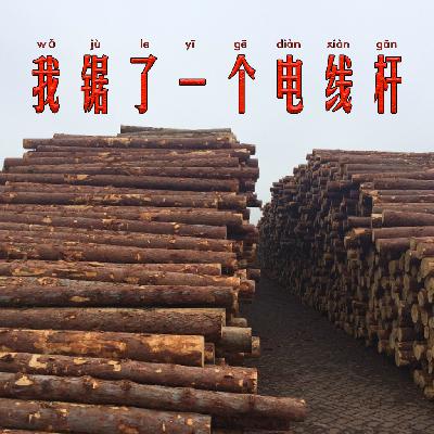 vol.01丨船长：混乱是一个特别好的状态