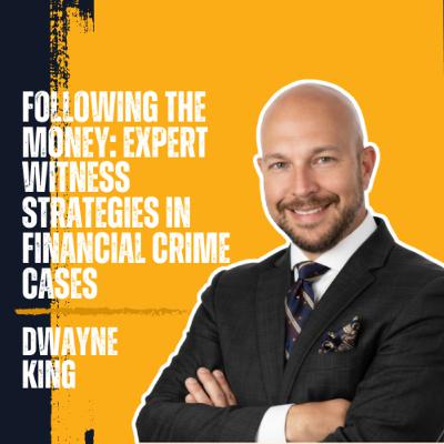 Following the Money: Expert Witness Strategies in Financial Crime Cases