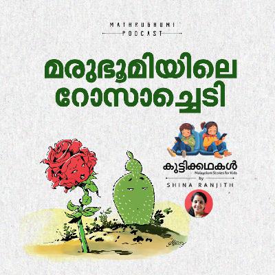 മരുഭൂമിയിലെ റോസാച്ചെടി |  കുട്ടിക്കഥകള്‍ | Malayalam kids stories Podcast