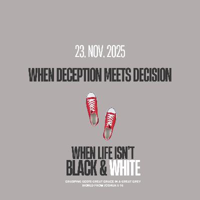 When Deception Meets Decison