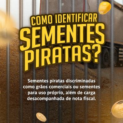 MOMENTO APASEM #99: Carga de semente sem nota fiscal é pirata!!!