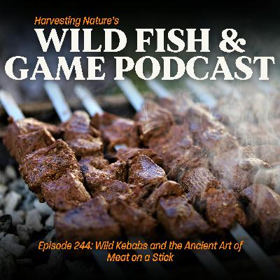 Episode 244: Wild Kebabs and the Ancient Art of Meat on a Stick