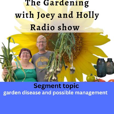 Episode 1495:  Seg 2 of S9E34 garden disease and possible management  - The Gardening with Joey and Holly Radio Show