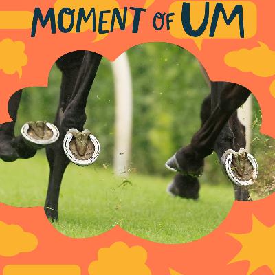 Why do horses need horseshoes? Why do horses need horseshoes?