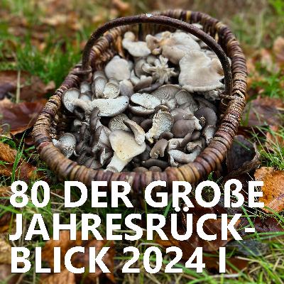 #80 Der große Jahresrückblick 2024 Teil 1