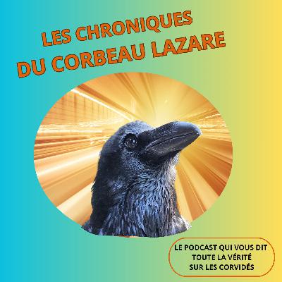 Oui, les corbeaux prédisent l'avenir !
