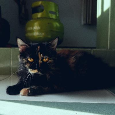 Covid19 jumatan harus bawa sejadah dari rumah